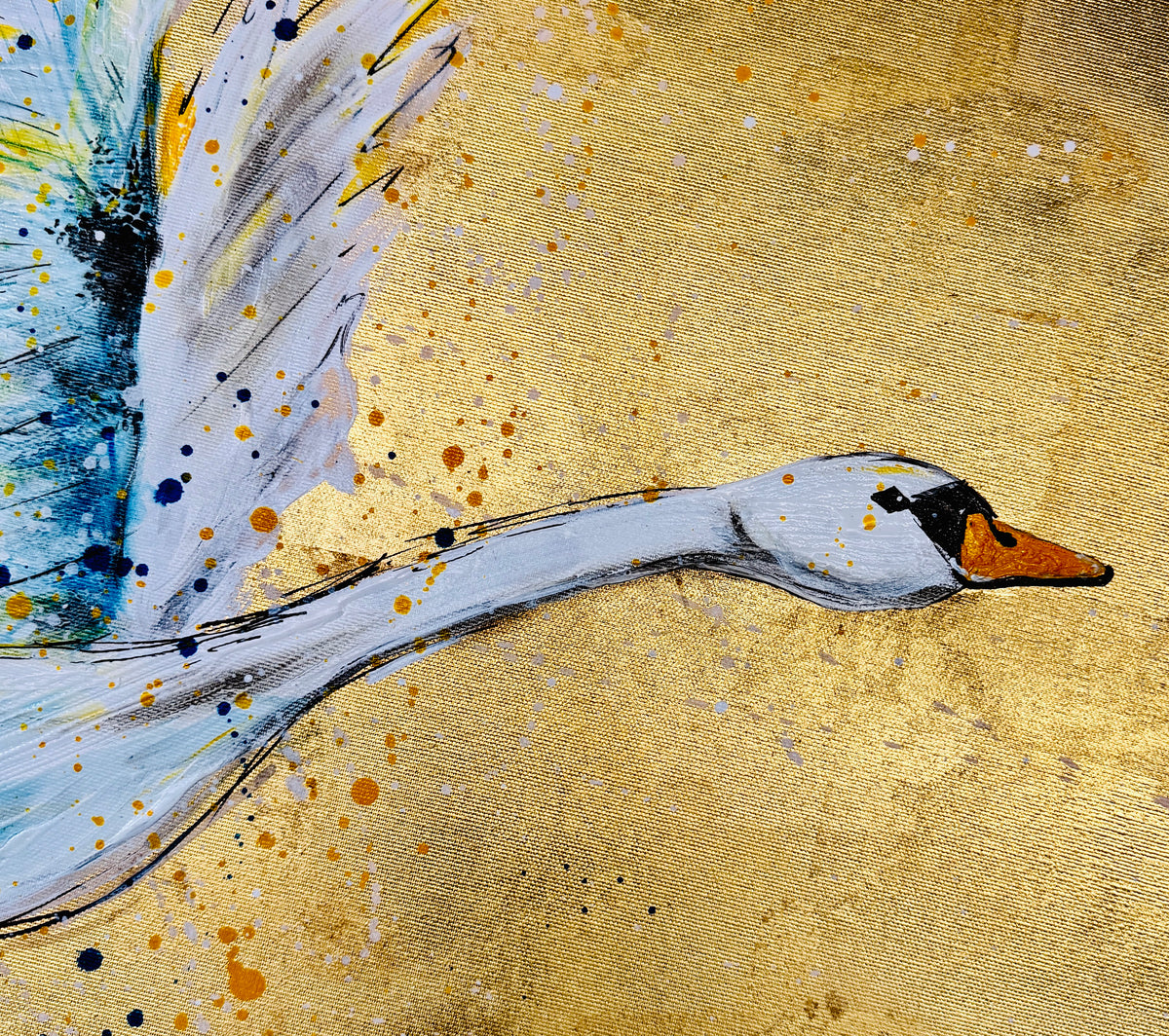 Journey of the Swan